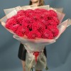 25 пышных красных георгин